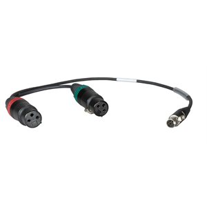 AMBIENT Adaptor cable TA5F to 5-pin XLR male stereo 65 cm