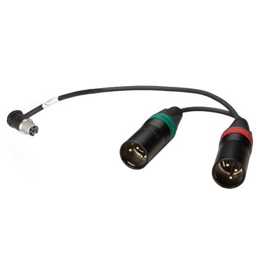 AMBIENT Adaptor cable TA5F to double 3-pin XLR male 50 cm
