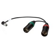 AMBIENT Adaptor cable TA5F90L to dual 3-pin XLR male 30 cm