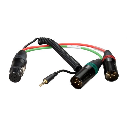 AMBIENT Breakout cable XLR-7F to 2x XLR-3M + 3.5 mm TRS