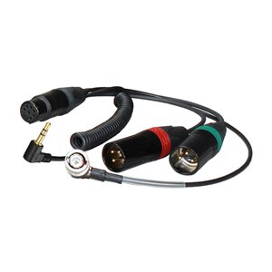 AMBIENT Breakout cable XLR7F to 2xXLR3M, 3,5mm TRS-90°, BNC for TC