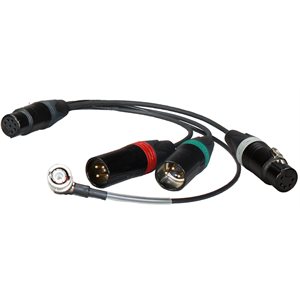 AMBIENT Breakout cable XLR7F to 2xXLR3M, XLR5F and BNC for TC