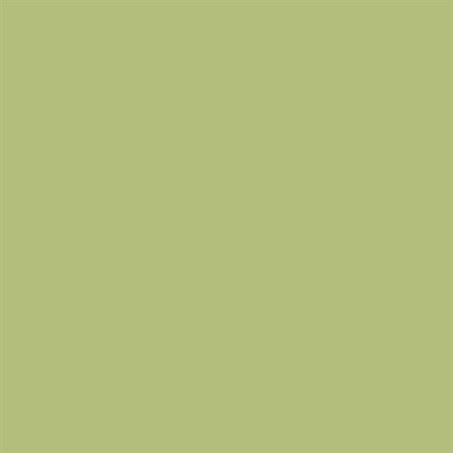 Superior Seamless 13 Tropical Green Background Paper Roll 2.72m x 11m