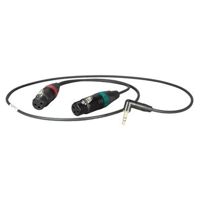 AMBIENT Adapter cable 1 / 8" TRS plug to 2x XLR-3F